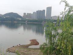 -千岛湖城中湖游船码头