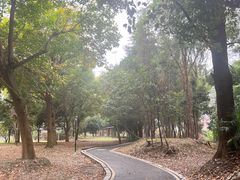 -国际非物质文化遗产博览园