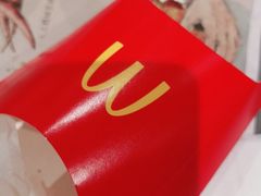 -麦当劳(北京大兴机场二层国内到达(安检外)店)