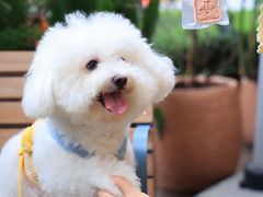 -Grande A'moo(上海万象城店)