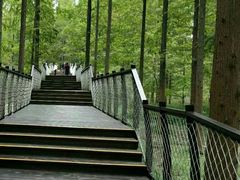 -黄海国家森林公园