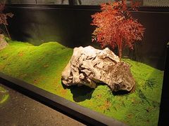 -杭儿风餐厅(嘉里中心店)