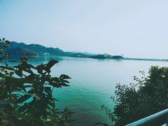 -望湖烤鱼