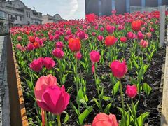 -中共上海市委党校 上海行政学院