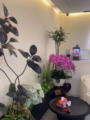 -海涛医疗美容·面部抗衰·注射美鼻