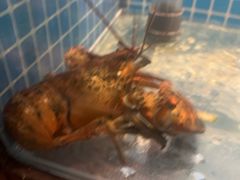 -和和小厨