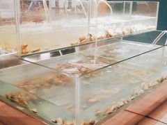 -盐城万豪酒店-盐城厨房西餐厅