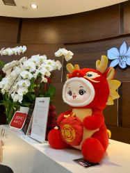 点击看大图 -洁铭新加坡医美