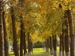 -东钱湖旅游度假区