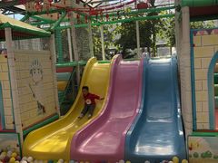 -南宫五洲植物乐园