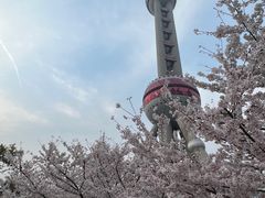 -东方明珠广播电视塔