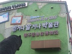 -信不信由你博物馆