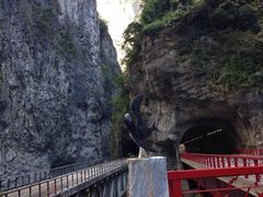 -太鲁阁公园