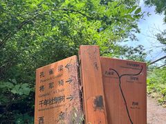 -王顺山国家森林公园