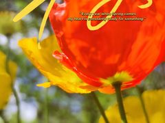 -名花谷生态庄园