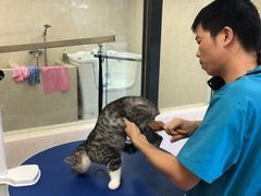 -爱诺耐芙动物医院(万博店)