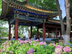 -阅江楼风景区