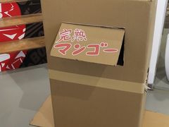 -Sony Store 索尼(上海淮海中路店)