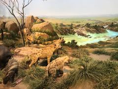 -陕西自然博物馆