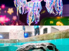 -正佳极地海洋世界