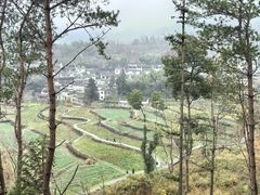 -塔川景区