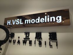 -华卫思理轻奢造型