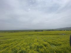 -扁都口生态休闲旅游区