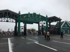 -荷兰花海