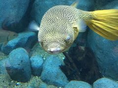 -新加坡海洋生态馆