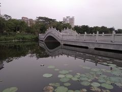 -映月湖公园