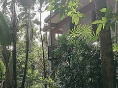 -七仙岭君澜度假酒店