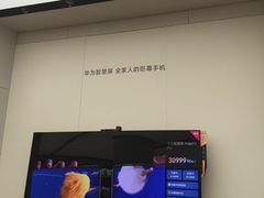 -华为智能生活馆(上海中山公园龙之梦)