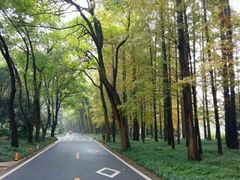 景点-采石矶景区