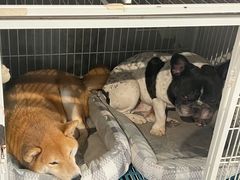 -小时光咖啡馆(北锣鼓巷店)