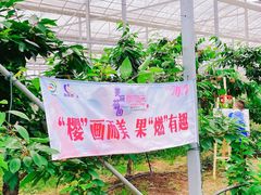 -菊园百果园