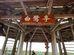 -北海金海湾红树林生态旅游区