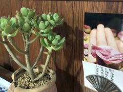 -八珍手工水饺·妈妈的爱(传芳巷店)