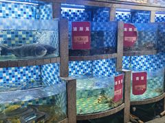 -松沪名灶·豆浆鱼头·新上海菜(飞航吾悦广场店)