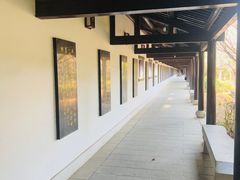 -靖港古镇