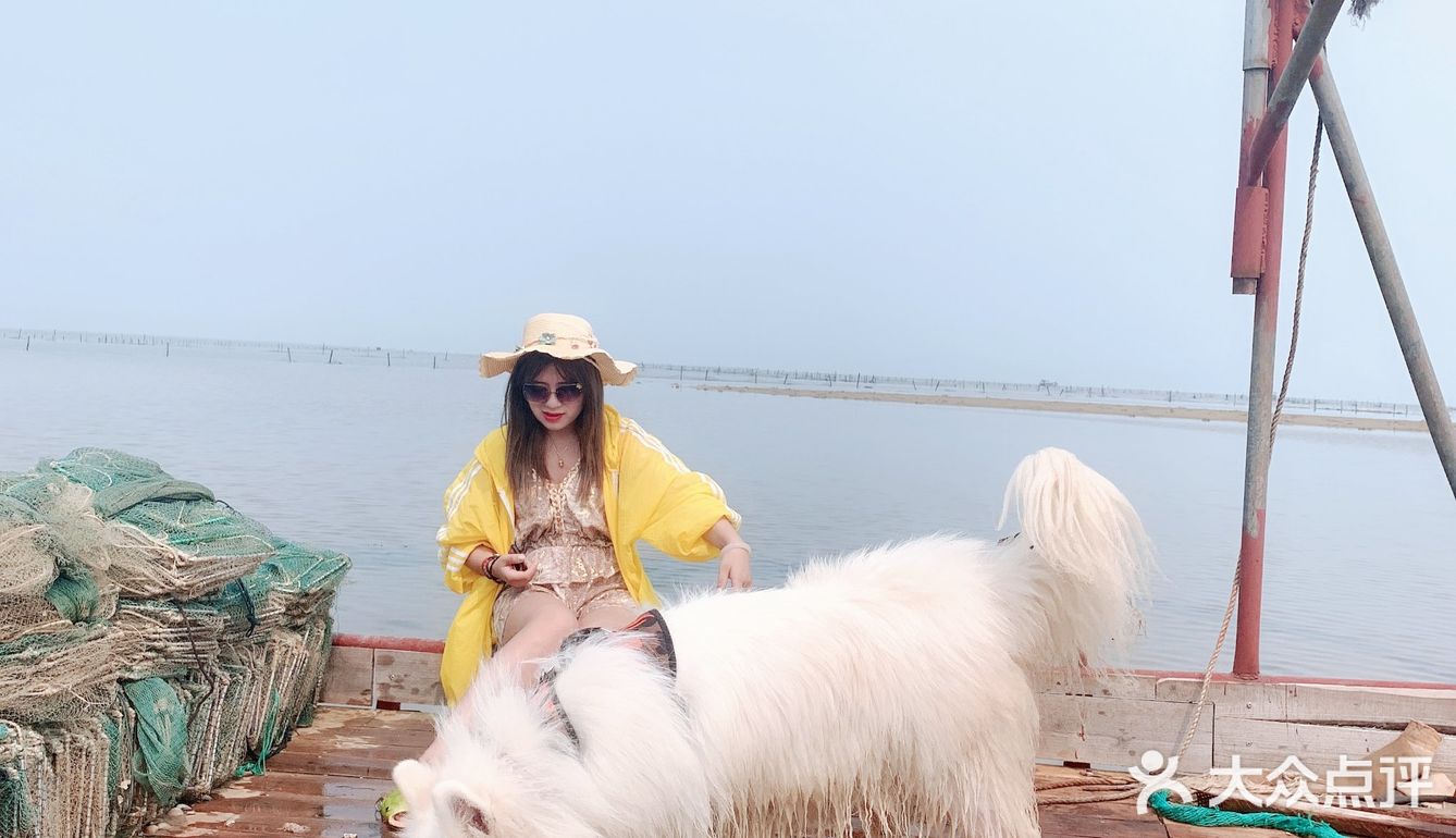 说走就走🌞拖家带狗🐶