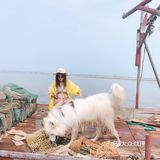 说走就走🌞拖家带狗🐶