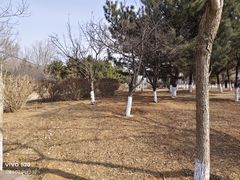 -前关湿地公园