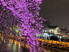 -常熟方塔园