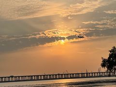 -宝安西湾红树林湿地公园