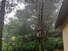 -梦幻奥陶纪景区