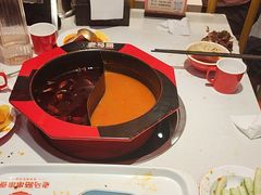 -老马路串串香火锅(北门桥店)