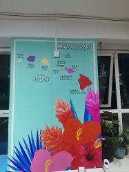 -呼拉汇舞蹈生活馆 Hawaii Hula&Tahiti Dance Studio