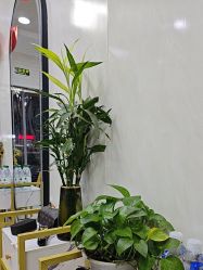 -TRIMS HAIR 修剪造型·烫染接发