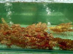 -聚鲜阁海鲜美食城(香水湾店)
