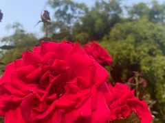 -人民公园(罗湖区)